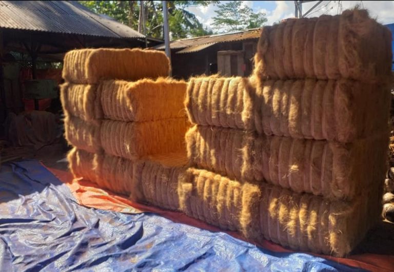 Edukasi cocomesh berbasis kearifan lokal masyarakat desa