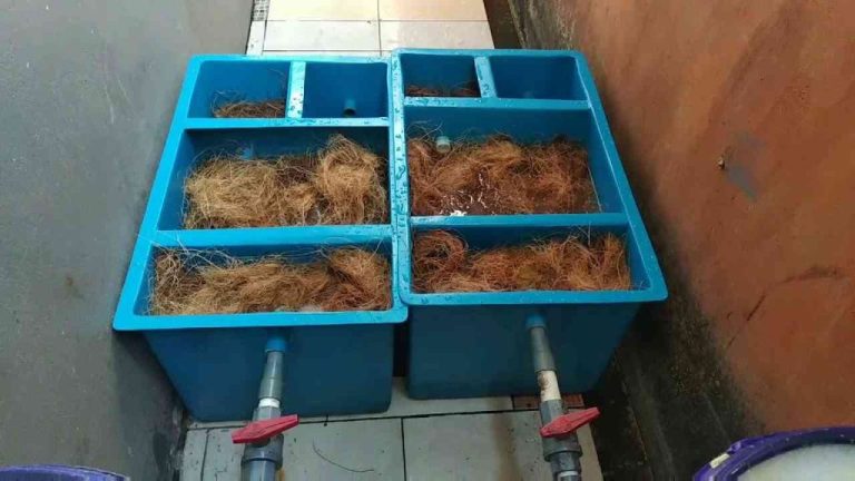 Sabut Kelapa sebagai Inovasi Praktikum Sains