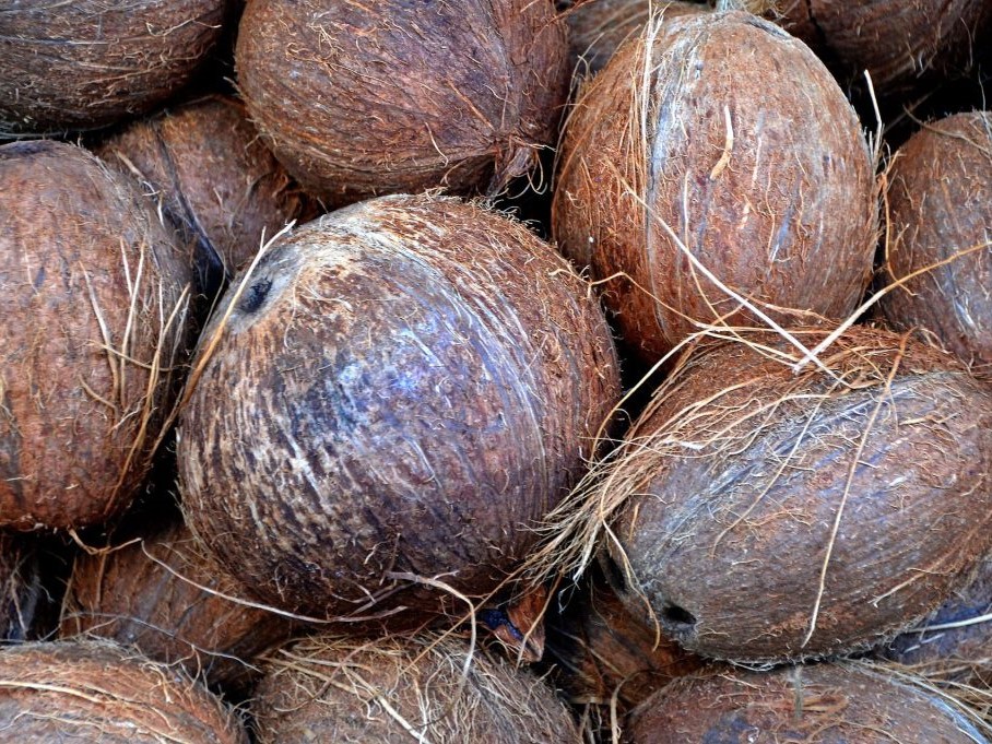 potensi sabut kelapa dalam industri hijau masa depan