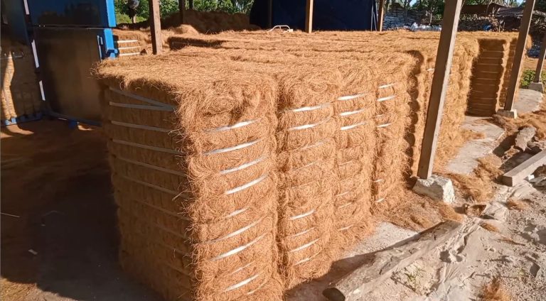 strategi pemasaran sabut kelapa