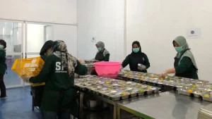 Solusi Praktis Alat Dapur Mbg