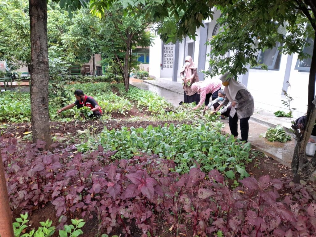 Edukasi Lingkungan dengan Media Cocomesh di Sekolah