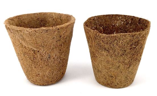 Edukasi Sabut Kelapa dalam Proyek Sains Terapan Sekolah