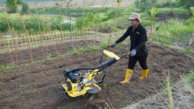 cara mengolah lahan cepat