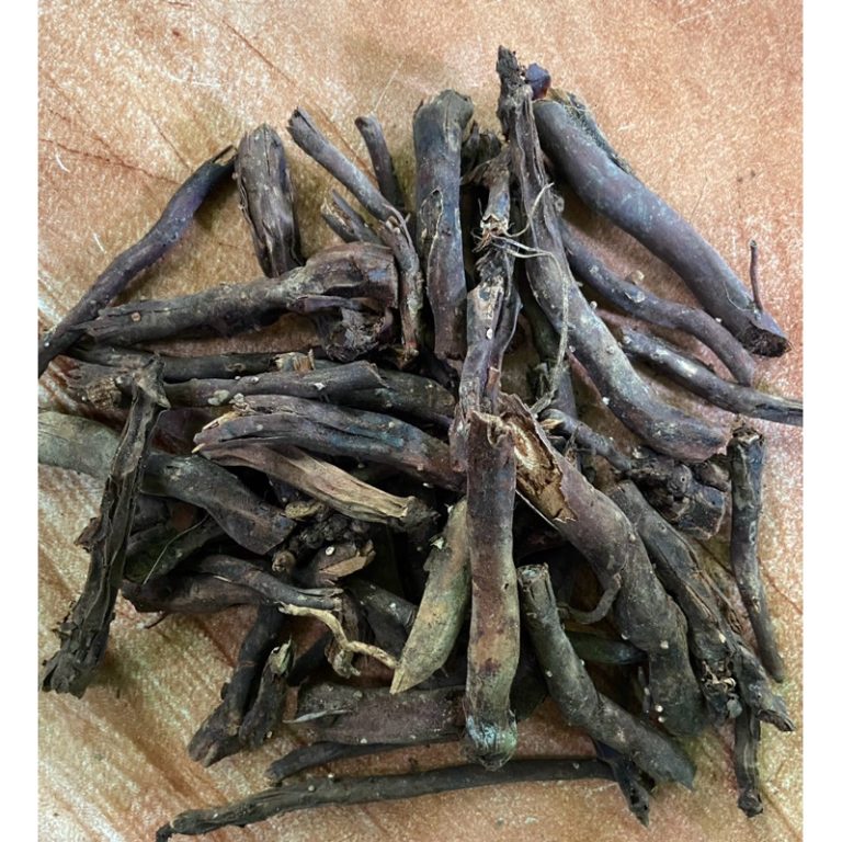 khasiat akar kelapa alami