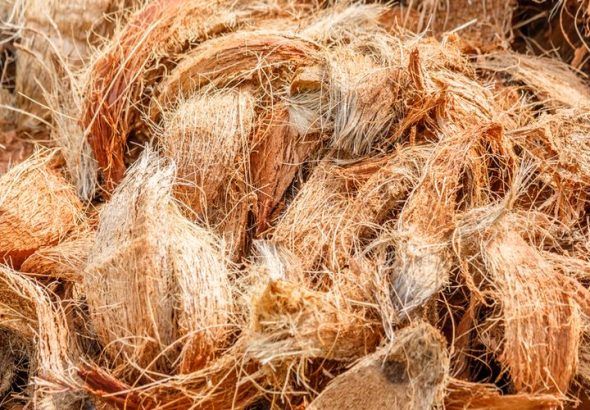 Sabut kelapa untuk kreasi produk modern