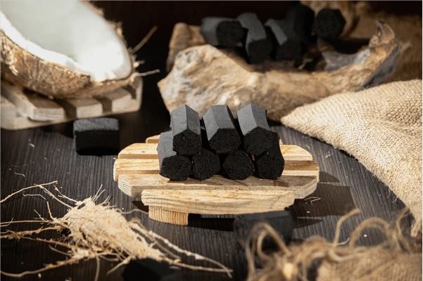 travel friendly charcoal indonesia