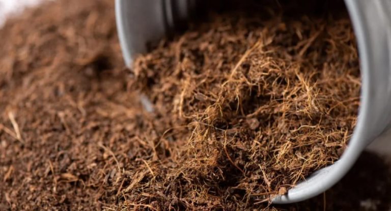 pasar bisnis cocopeat