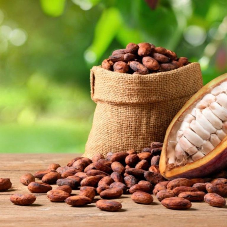 1a33eb3abfeec7f8ec3c32d639b43fc9