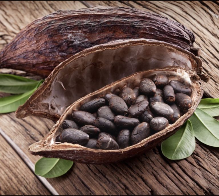 d809d8fa00874d44b64a5b0ef53738da