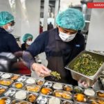 bisnis makanan MBG sehat