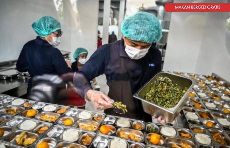 bisnis makanan MBG sehat