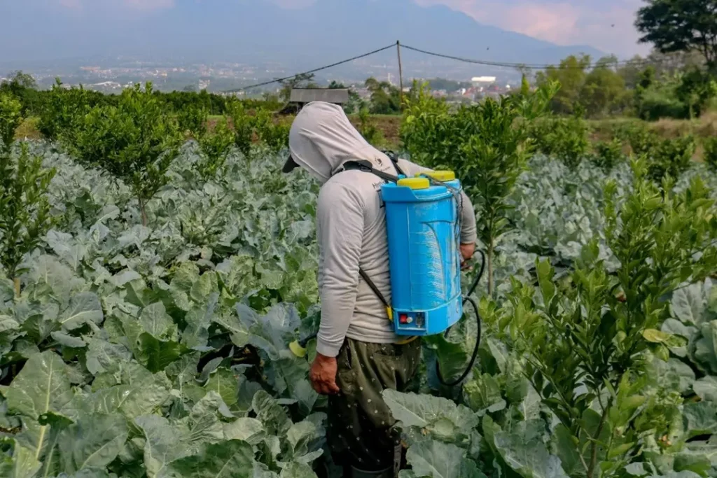 Sprayer Elektrik Untuk Kebun Rumahan Perawatan Lebih Mudah